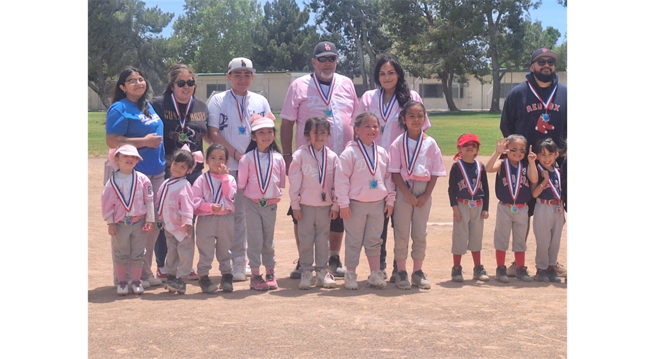 Tball Pink Dodgers at the District 49 Tball Softball Jamboree 